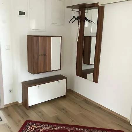 Schink - Nahe Chemnitz Limbach-Oberfrohna